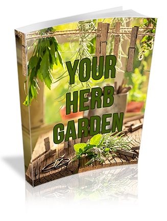 Your Herb Garden